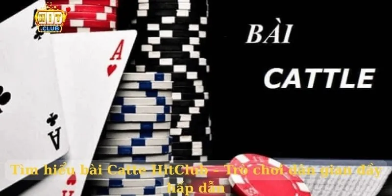 Tìm hiểu bài Catte HitClub – Trò chơi dân gian đầy hấp dẫn Bài catte hitclub